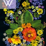 wellesley cover001